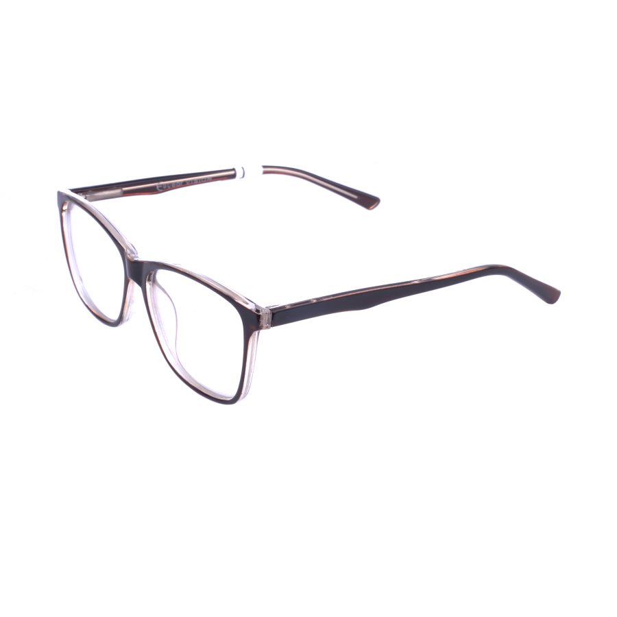 Eyear vision