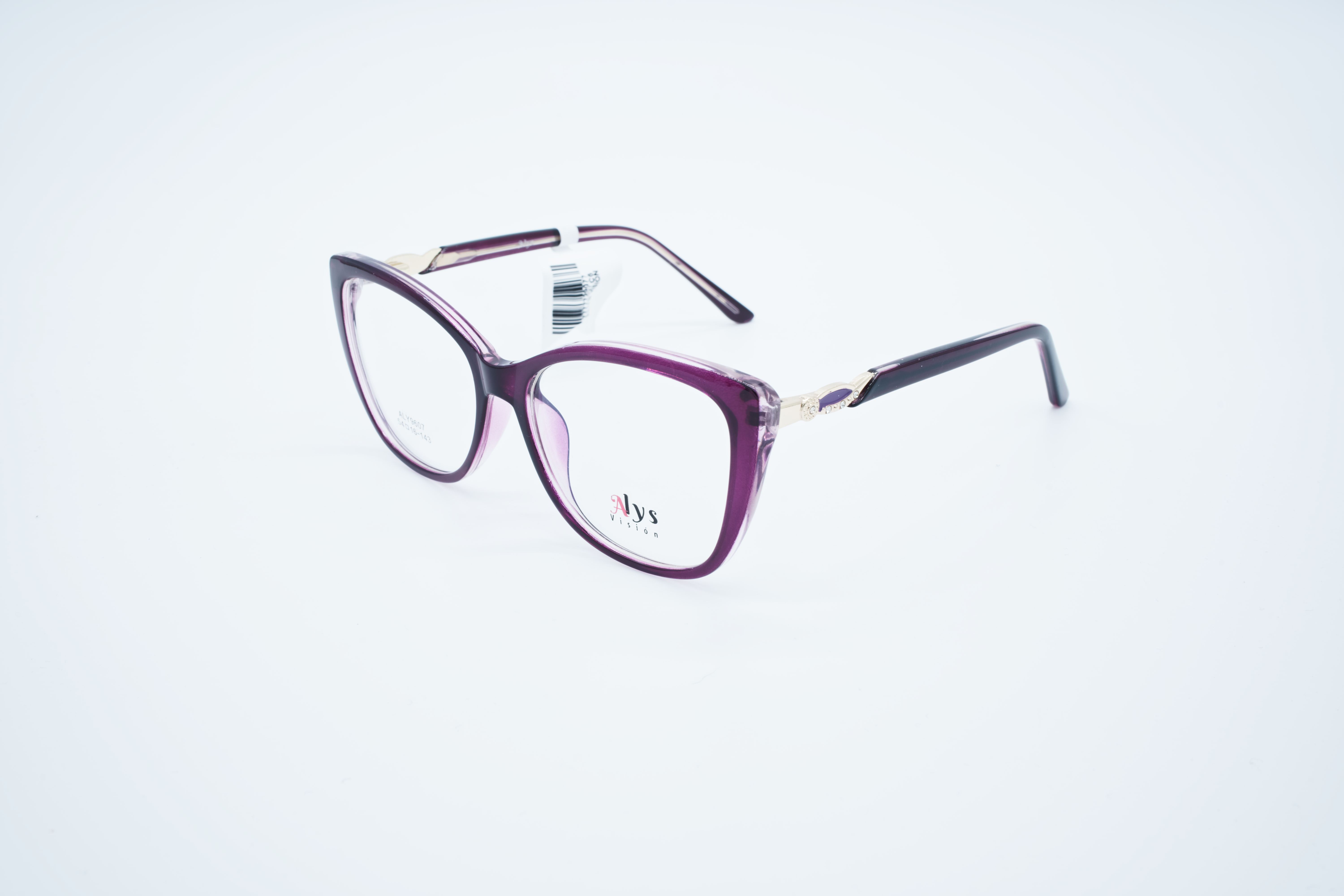 Aly9607 c6